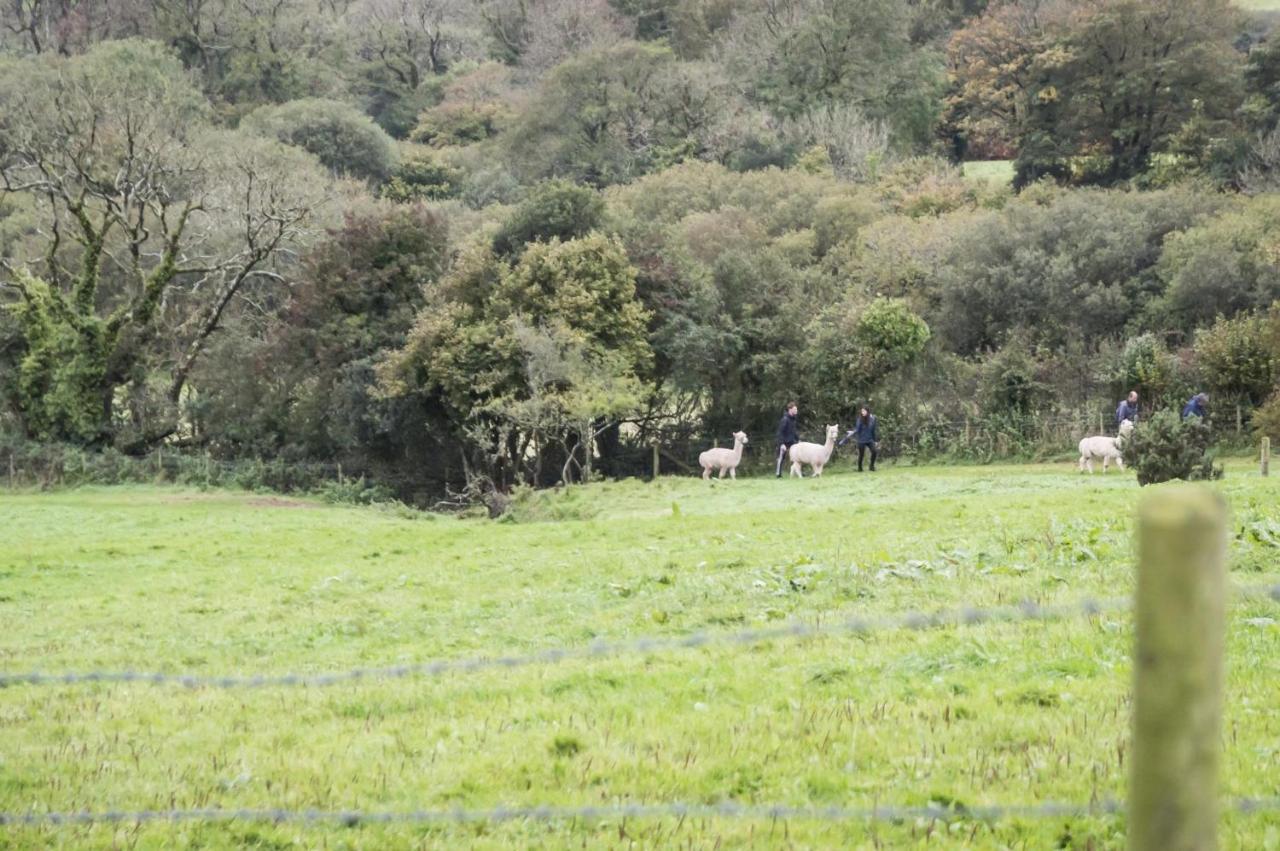 Orchard Cottage - Luxurious Barn Conversion - Beavers Hill Manorbier Luaran gambar